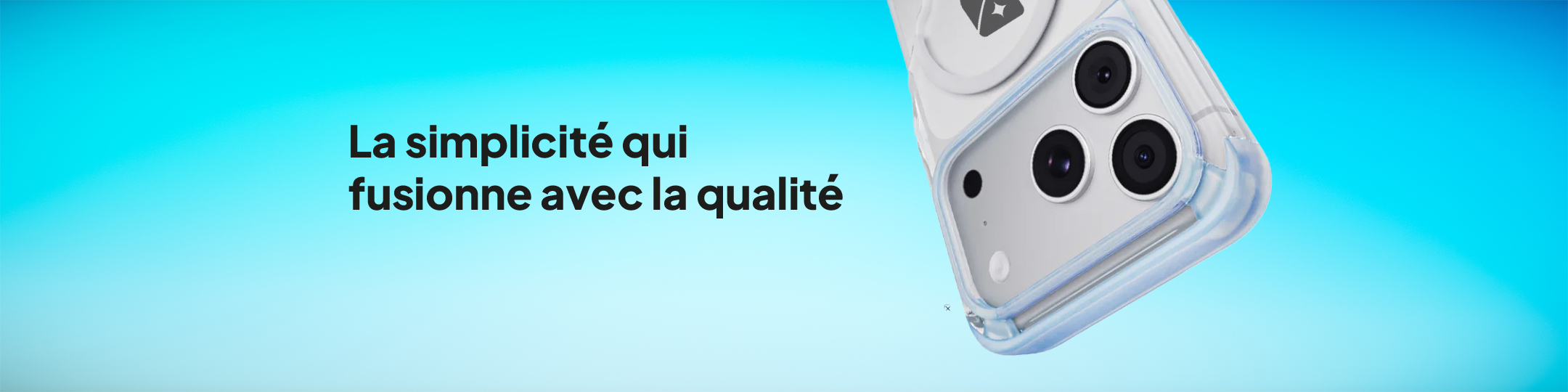 Minimaliste
